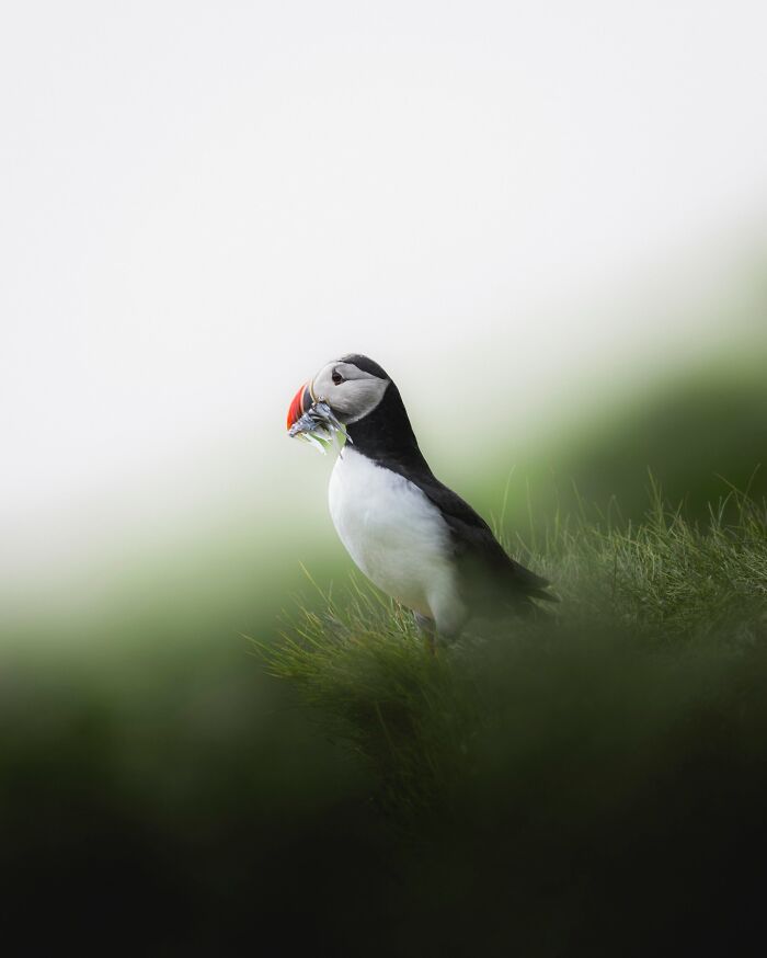 This Icelandic Photographer Shows The Country’s Most Otherworldly Sights In 89 Photos