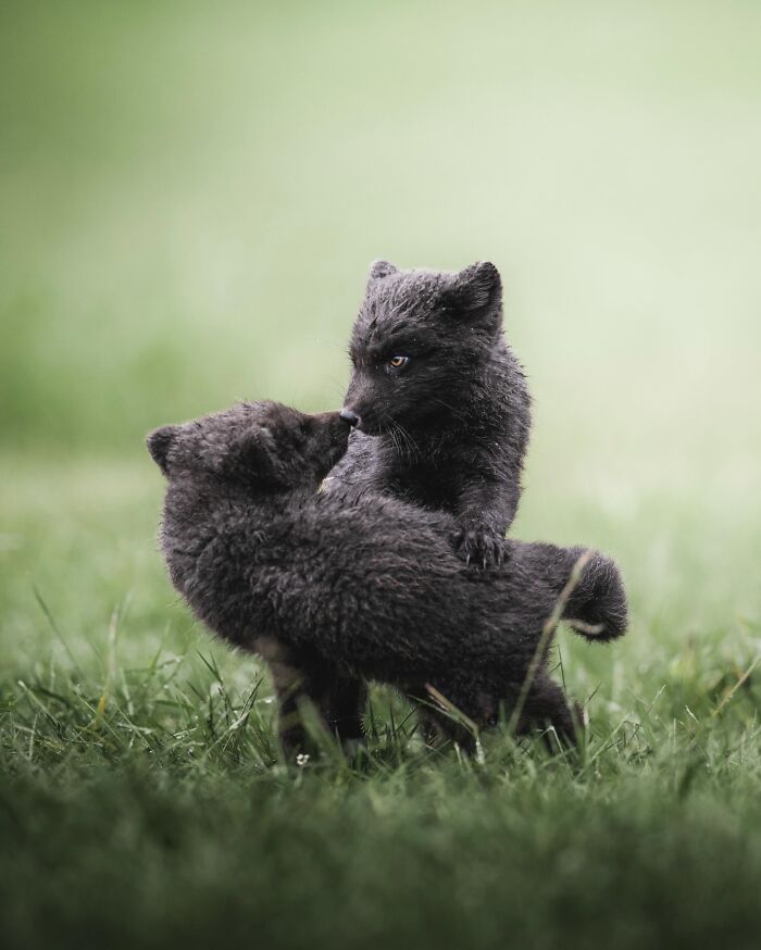 This Icelandic Photographer Shows The Country’s Most Otherworldly Sights In 89 Photos