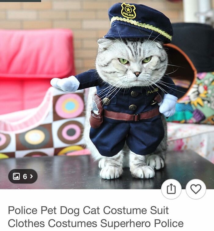 Cat dressed in a police costume suit, a surprising and funny find while shopping on Wish.