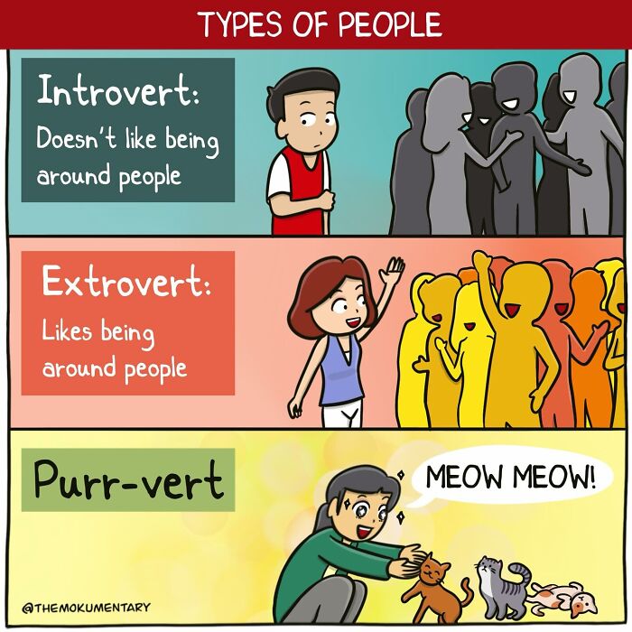 40 Awkwardly Funny Comics That Perfectly Capture Life’s Most Random Moments