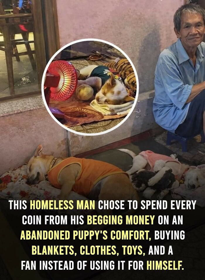 This Facebook Page With Over Half A Million Followers Is Sharing Some Of The Most Heartwarming Animal Stories Online (25 Pics)