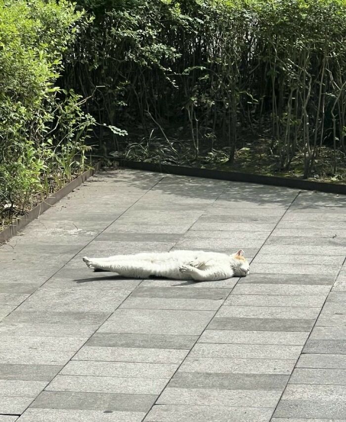 33 Wholesome And Funny Animal Pics That Will Instantly Make Your Day Better (New Pics)