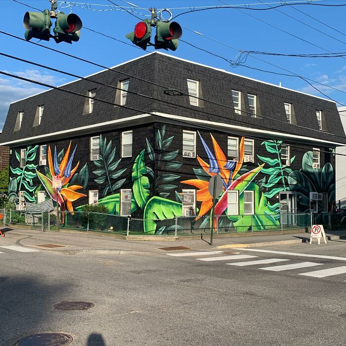 50 Vibrant Murals By ‘The Color Wizard’ That Brighten Walls Across New England