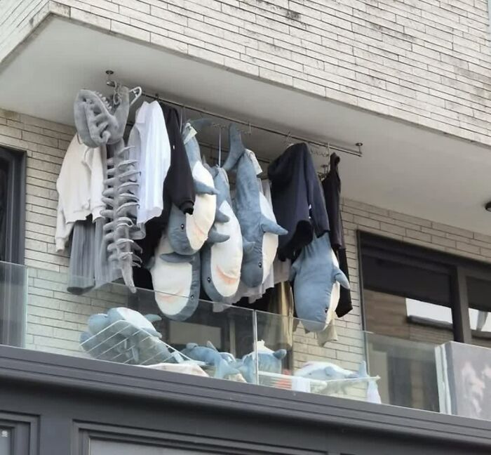 Weird images of shark plushies and clothes drying on a balcony, making people go hmmm.