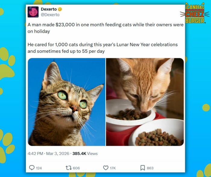 The Original Cat Meme Page Is Still Going Strong: Here Are Some Of The Funniest Posts From I Can Has Cheezburger (50 Pics)