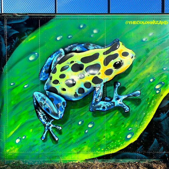 50 Vibrant Murals By ‘The Color Wizard’ That Brighten Walls Across New England