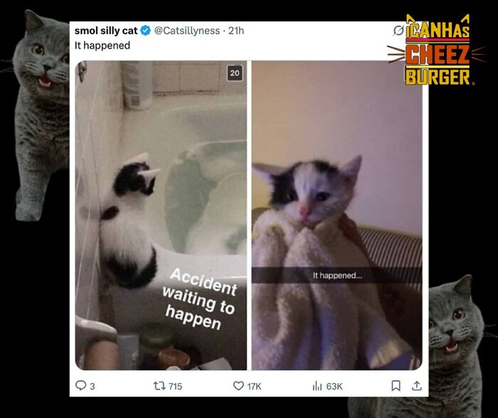 The Original Cat Meme Page Is Still Going Strong: Here Are Some Of The Funniest Posts From I Can Has Cheezburger (50 Pics)