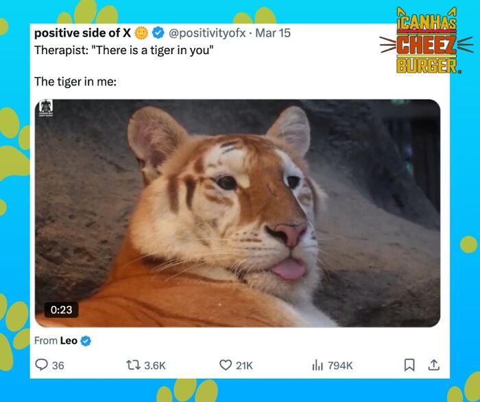 The Original Cat Meme Page Is Still Going Strong: Here Are Some Of The Funniest Posts From I Can Has Cheezburger (50 Pics)