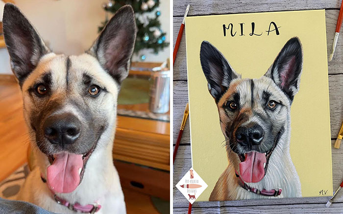 This Artist Paints Incredibly Detailed Pet Portraits That Owners Can Treasure Forever (33 Pics)