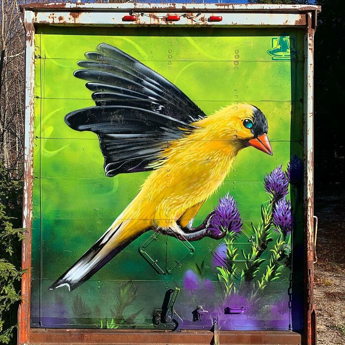 50 Vibrant Murals By ‘The Color Wizard’ That Brighten Walls Across New England