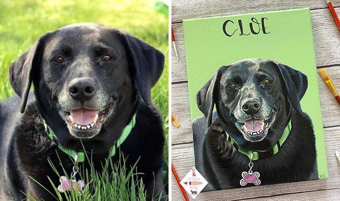 This Artist Paints Incredibly Detailed Pet Portraits That Owners Can Treasure Forever (33 Pics)