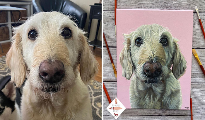 This Artist Paints Incredibly Detailed Pet Portraits That Owners Can Treasure Forever (33 Pics)