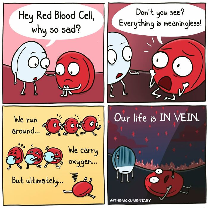 40 Awkwardly Funny Comics That Perfectly Capture Life’s Most Random Moments