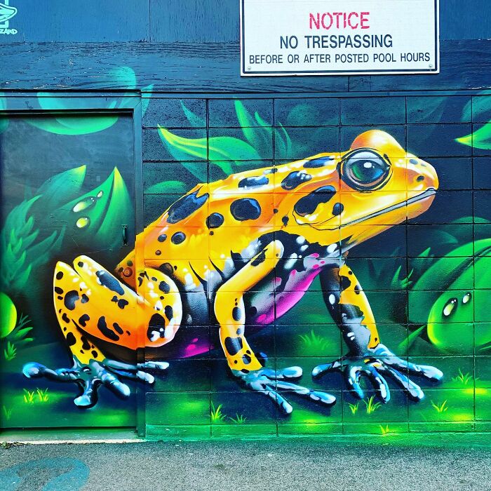 50 Vibrant Murals By ‘The Color Wizard’ That Brighten Walls Across New England