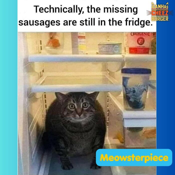 The Original Cat Meme Page Is Still Going Strong: Here Are Some Of The Funniest Posts From I Can Has Cheezburger (50 Pics)