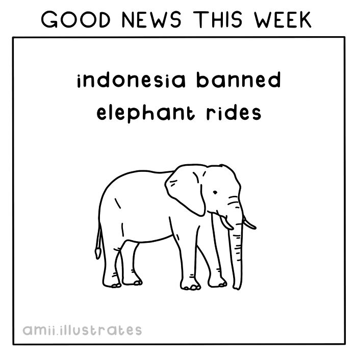 These Absurd Comics By Amii James Turn Everyday Thoughts Into Unexpected Laughs (30 New Pics)