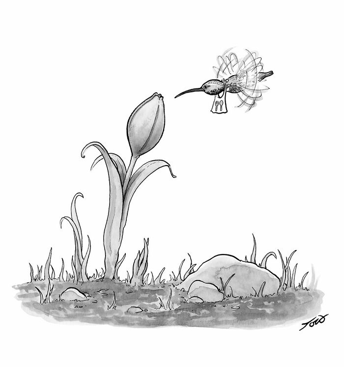 63 Brilliant One-Panel Comics By Tom Toro That Are Funny, Smart, And Slightly Uncomfortable (New Pics)