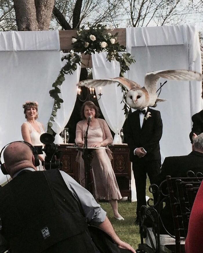 Wedding ceremony with a bride, officiant, and groom interrupted by a large owl flying, a trashy and tacky wedding moment.