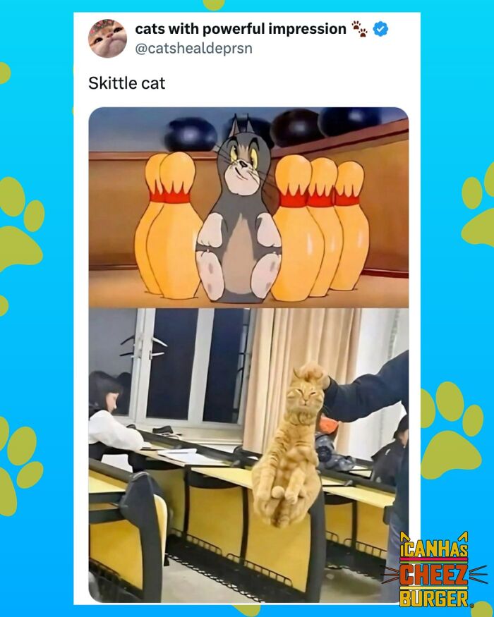 The Original Cat Meme Page Is Still Going Strong: Here Are Some Of The Funniest Posts From I Can Has Cheezburger (50 Pics)