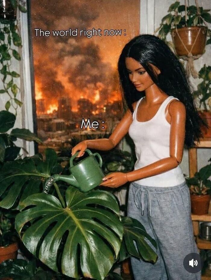 A meme showing a Crazy Plant Parent doll watering a plant, oblivious to the fiery world outside the window.