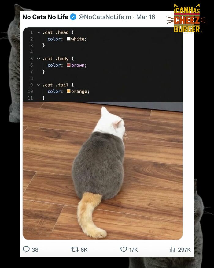 The Original Cat Meme Page Is Still Going Strong: Here Are Some Of The Funniest Posts From I Can Has Cheezburger (50 Pics)