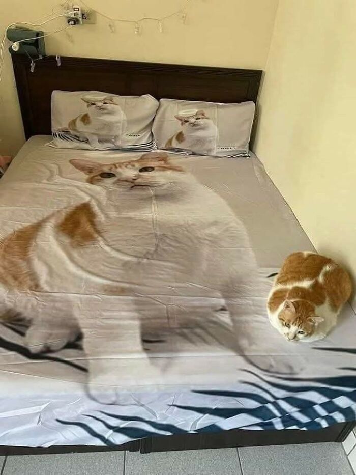 33 Wholesome And Funny Animal Pics That Will Instantly Make Your Day Better (New Pics)