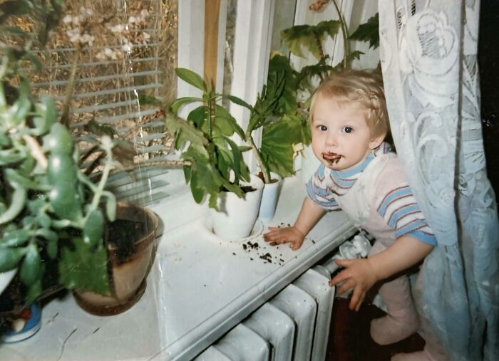 Toddler caught in chaotic childhood moment, with dirt on face and hands by potted plants on a windowsill indoors.