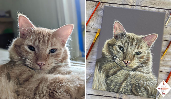 This Artist Paints Incredibly Detailed Pet Portraits That Owners Can Treasure Forever (33 Pics)
