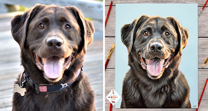 This Artist Paints Incredibly Detailed Pet Portraits That Owners Can Treasure Forever (33 Pics)