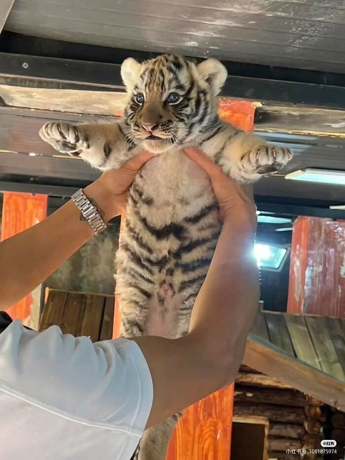 33 Wholesome And Funny Animal Pics That Will Instantly Make Your Day Better (New Pics)