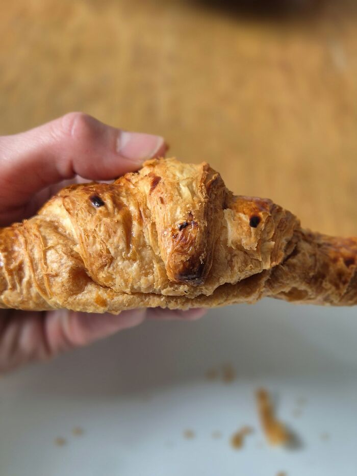 33 Times People Spotted Hidden Faces In Everyday Objects And Had To Share Them (New Pics)