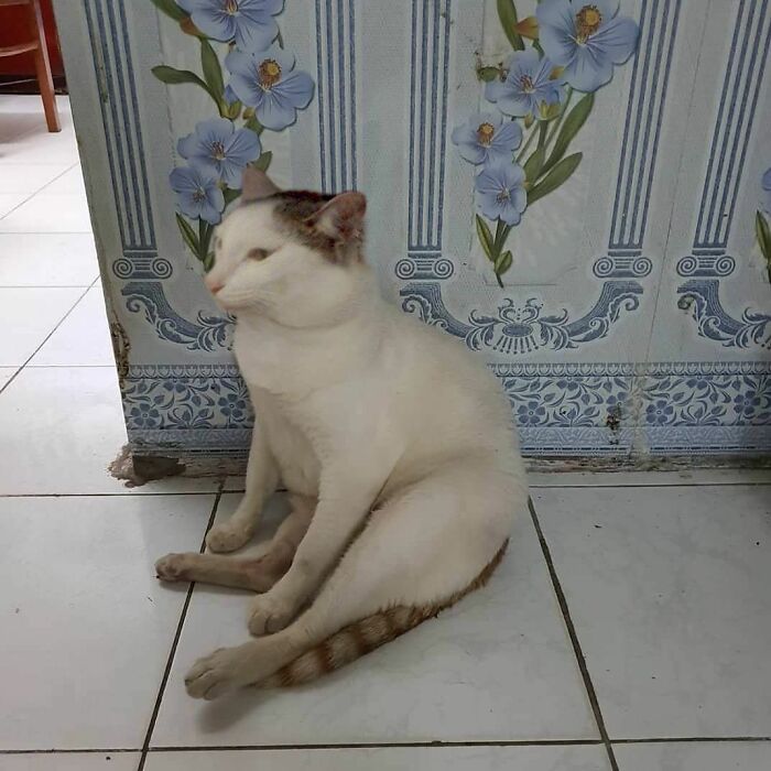 33 Wholesome And Funny Animal Pics That Will Instantly Make Your Day Better (New Pics)