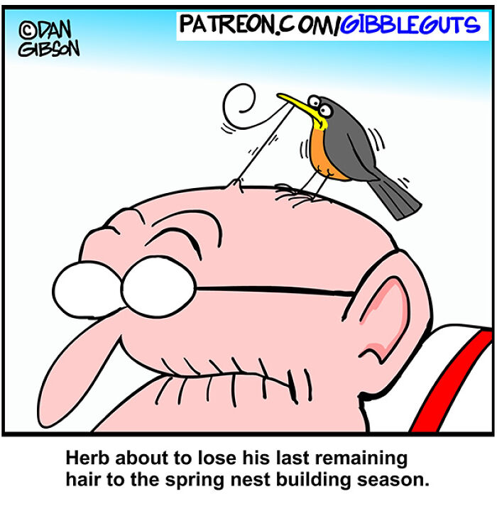 These Hilarious One-Panel Comics By Dan Gibson Prove Growing Old Is Anything But Boring (40 New Pics)