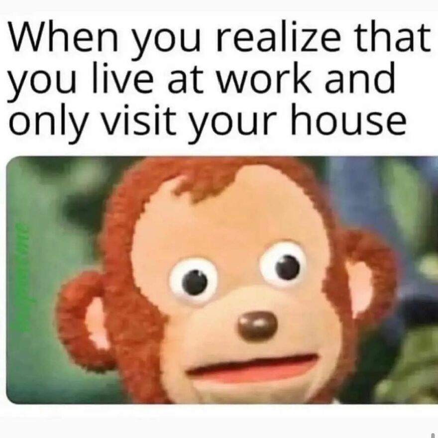 Surprised monkey puppet meme representing the feeling of living at work and only visiting your house work memes.