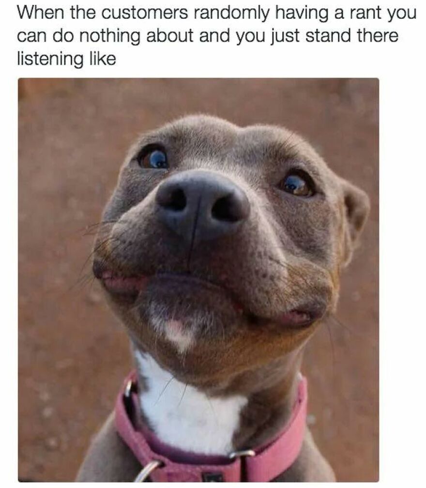 Close-up of a dog making a funny face, paired with a work meme about listening to customer complaints at a job.