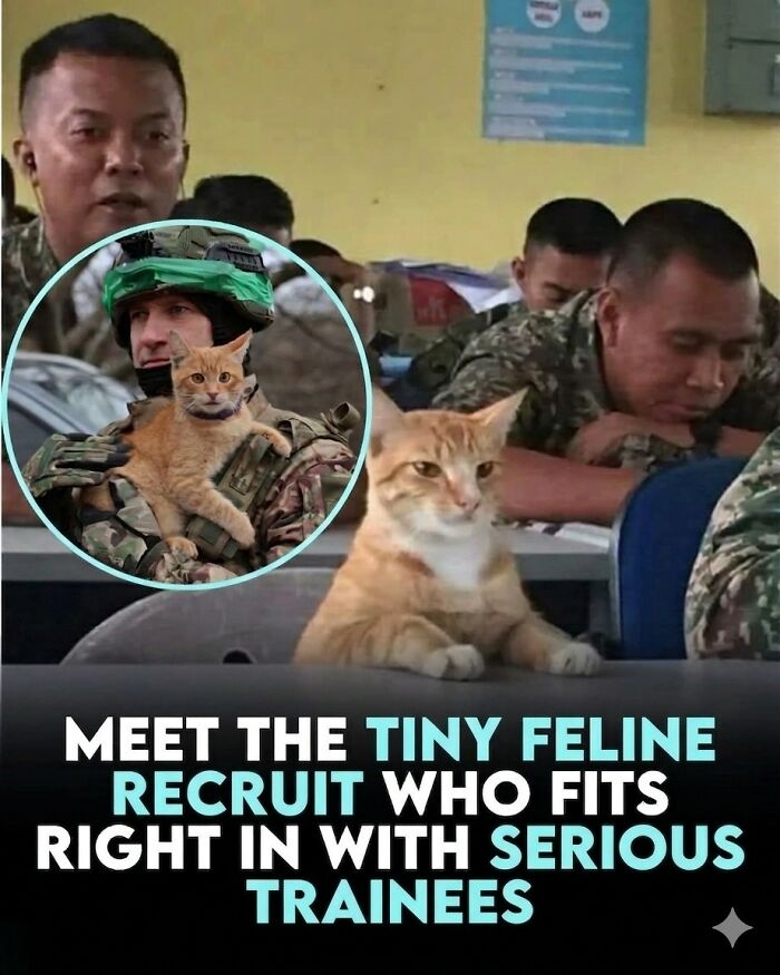 This Facebook Page With Over Half A Million Followers Is Sharing Some Of The Most Heartwarming Animal Stories Online (25 Pics)