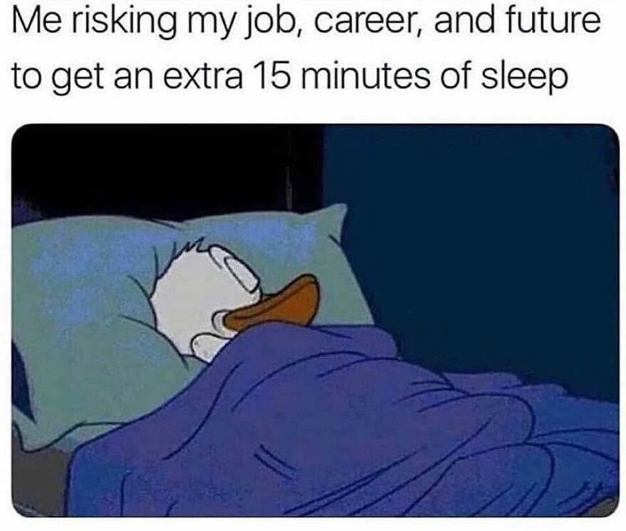 Cartoon duck sleeping with caption about risking job and career for extra sleep in relatable work memes.