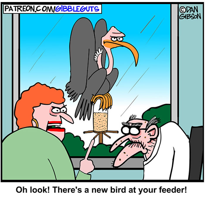 These Hilarious One-Panel Comics By Dan Gibson Prove Growing Old Is Anything But Boring (40 New Pics)