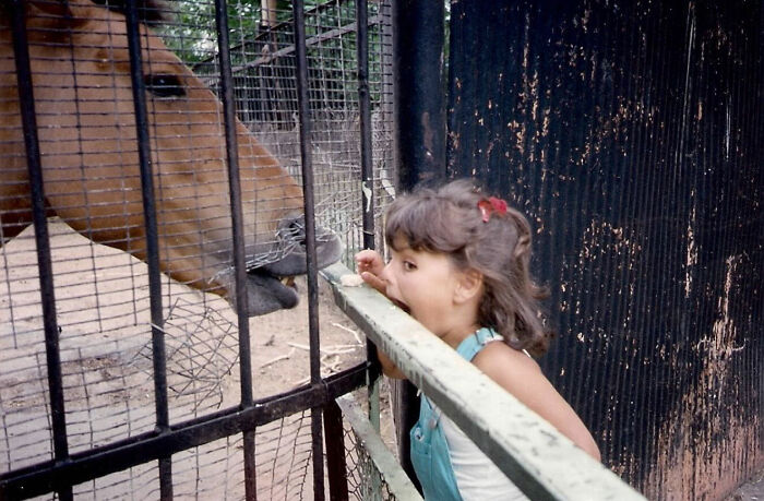 Young girl interacts with a horse behind a fence in a funny and chaotic childhood photo moment.