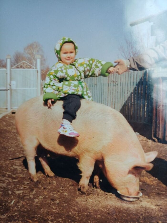 Toddler wearing a green jacket sitting on a large pig while holding an adult's hand in a chaotic childhood photo.