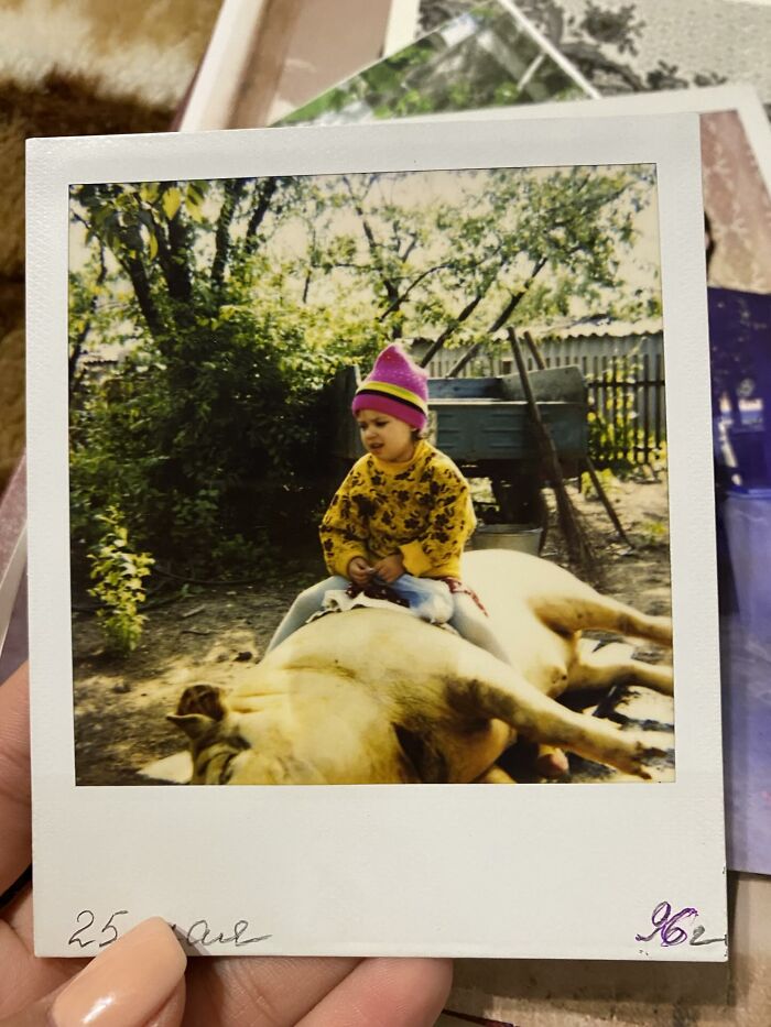 Child sitting on large dog outdoors in a funny and chaotic childhood photo with trees and a fence in the background