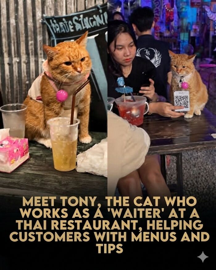 This Facebook Page With Over Half A Million Followers Is Sharing Some Of The Most Heartwarming Animal Stories Online (25 Pics)