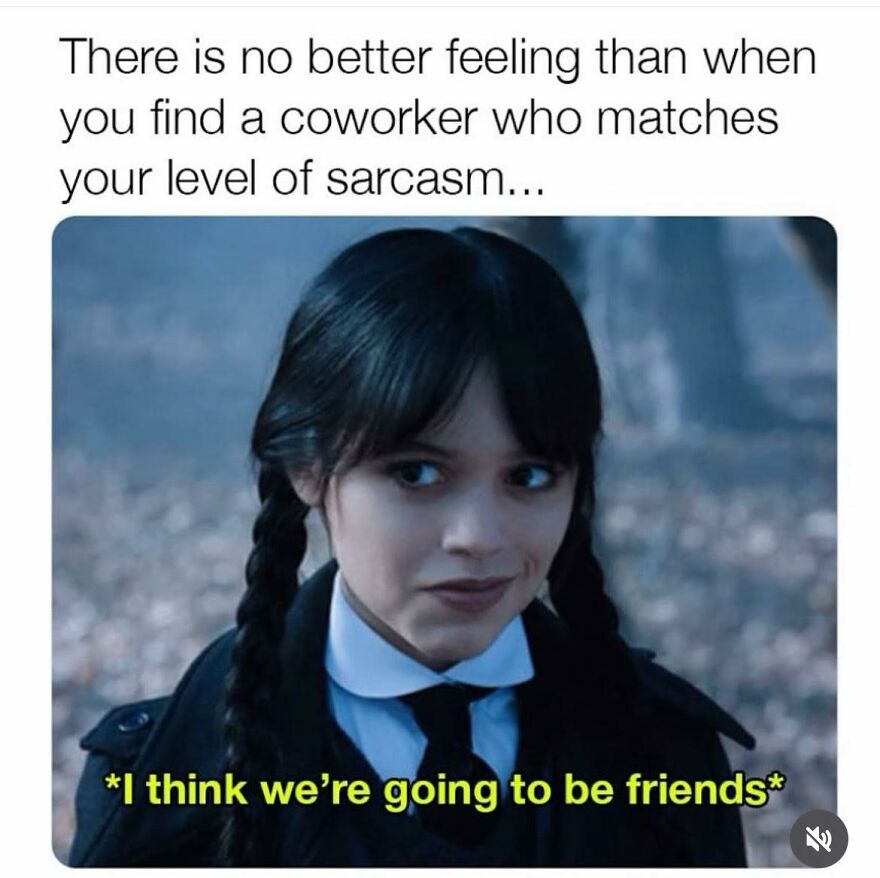 A woman with braids and a sarcastic smile, captioned about finding a coworker who matches your sarcasm in work memes.