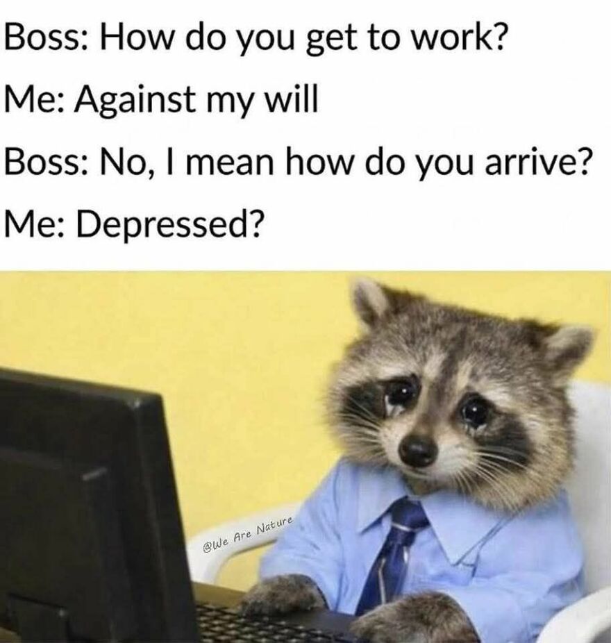 Sad raccoon in office attire at computer, illustrating humor in work memes about disliking a job.