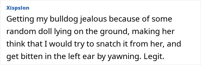 Person sharing a funny and painful stupid injury story involving a jealous bulldog bite to the ear.