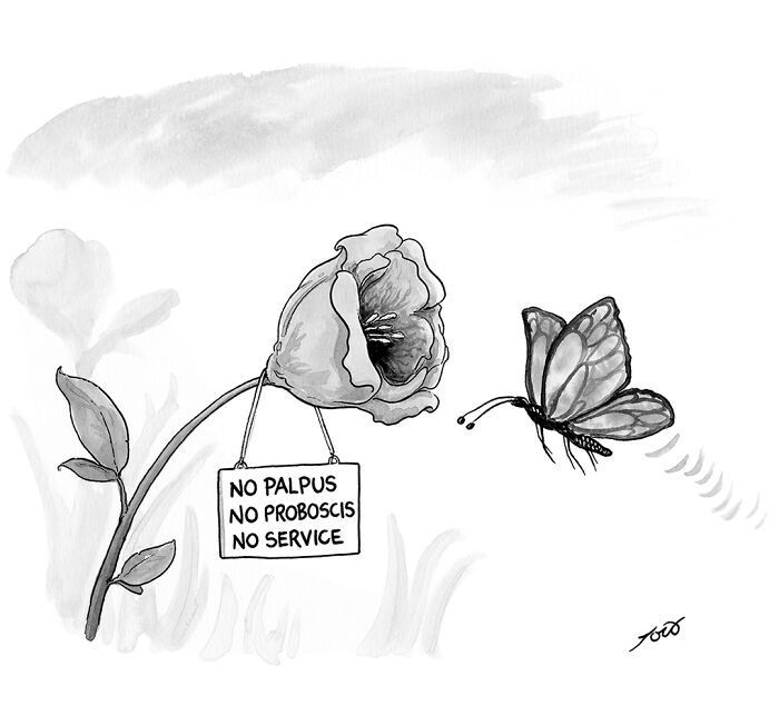 63 Brilliant One-Panel Comics By Tom Toro That Are Funny, Smart, And Slightly Uncomfortable (New Pics)