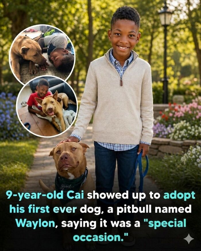 This Facebook Page With Over Half A Million Followers Is Sharing Some Of The Most Heartwarming Animal Stories Online (25 Pics)