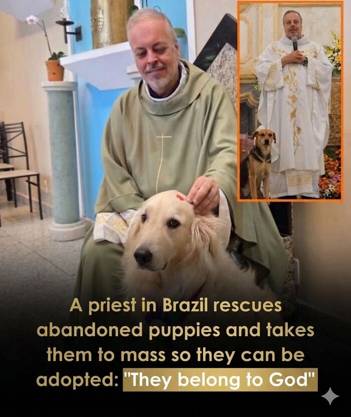 This Facebook Page With Over Half A Million Followers Is Sharing Some Of The Most Heartwarming Animal Stories Online (25 Pics)