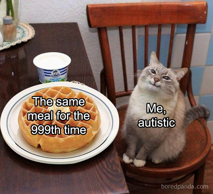 A relatable meme: A cat sitting beside a waffle on a plate, with text saying "The same meal for the 999th time" and "Me, autistic."