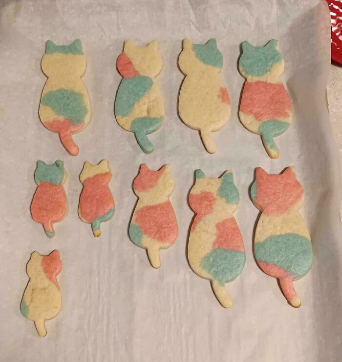 Colorful cat-shaped sugar cookies on baking parchment